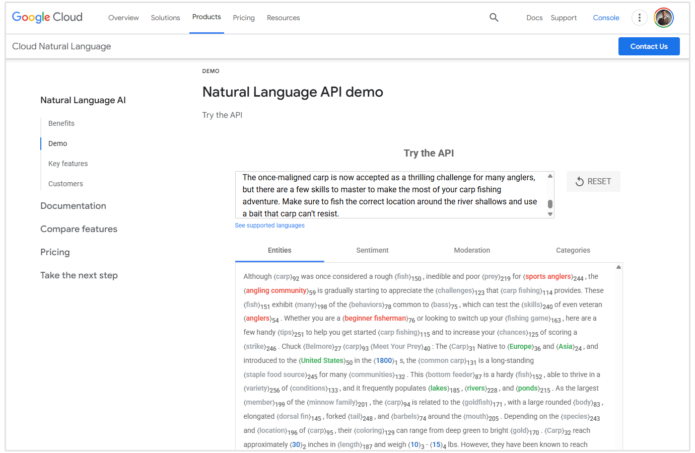 résultat de Google NLP