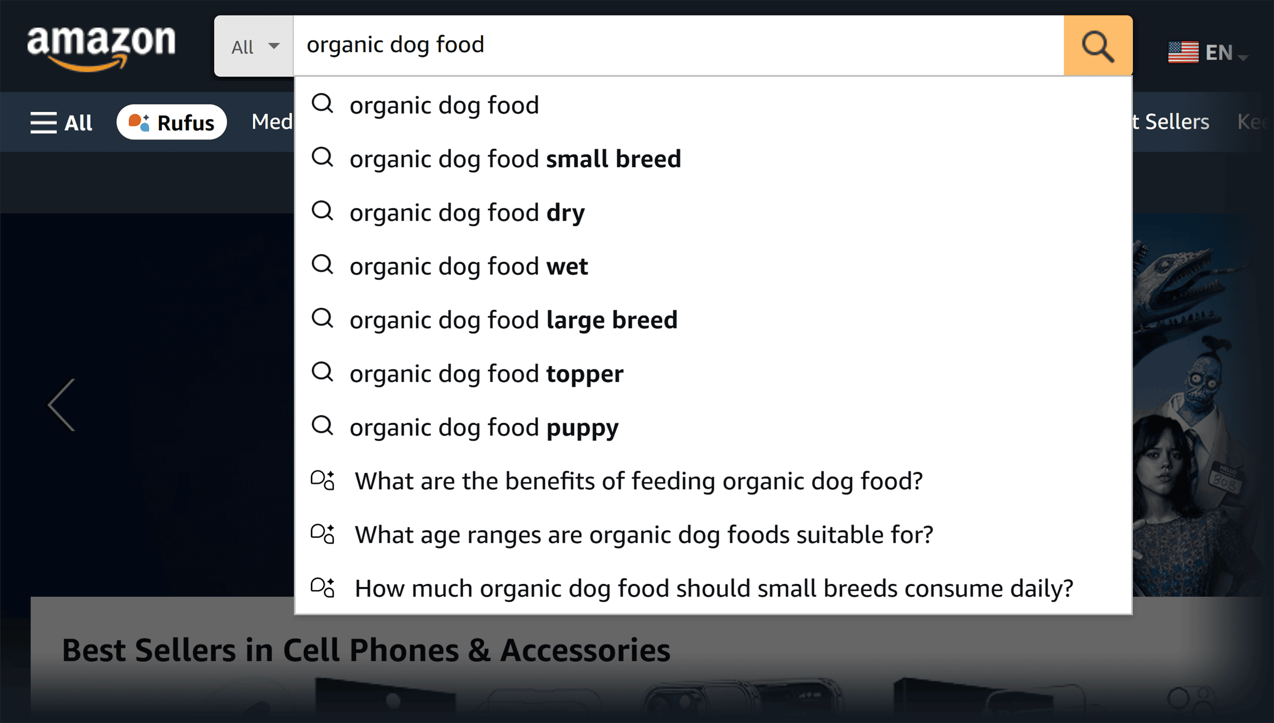 Amazon – Search suggest