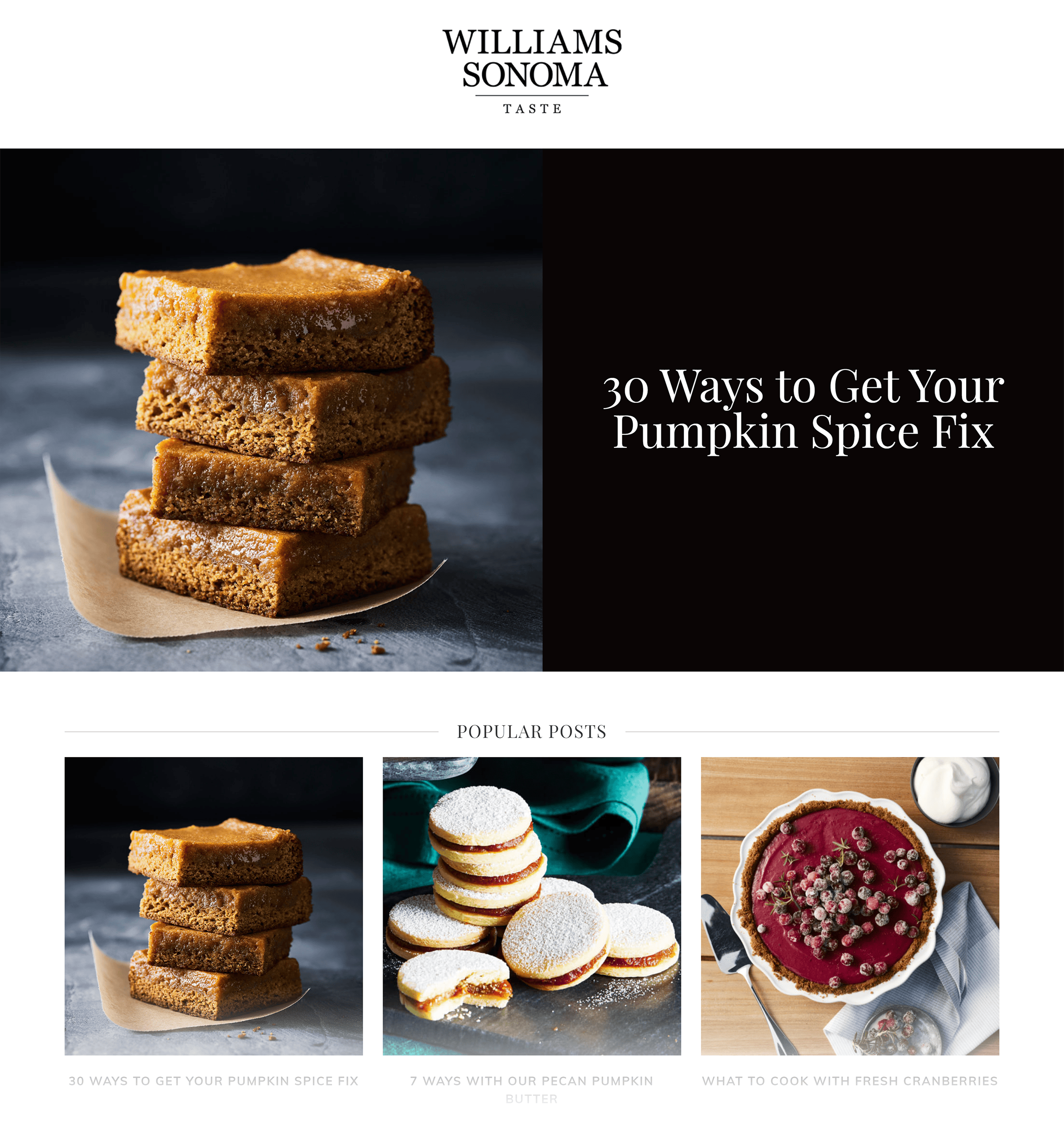 Williams Sonoma blog